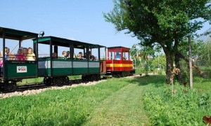 Zahradní železnice ve Vracově